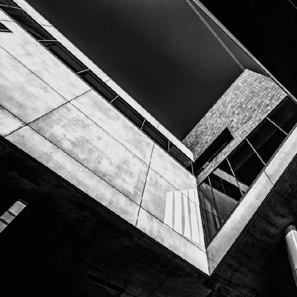 Resolving Disputes with Expert Consulting